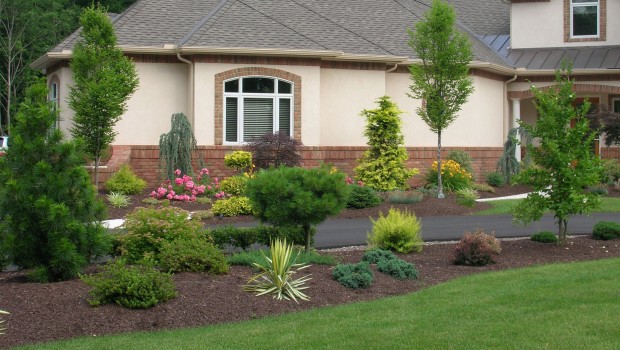 landscaping5_017-e1357752570560